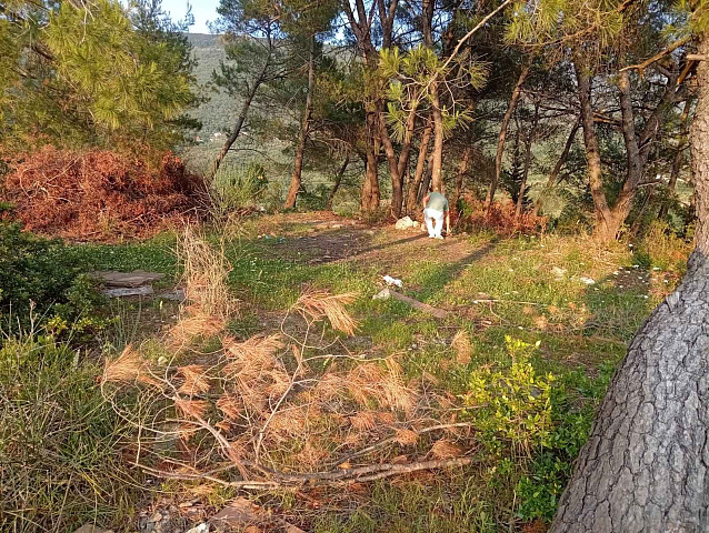 Urbanized Land Plot with Approved Project and Sea View in Mrčevac — photo 5